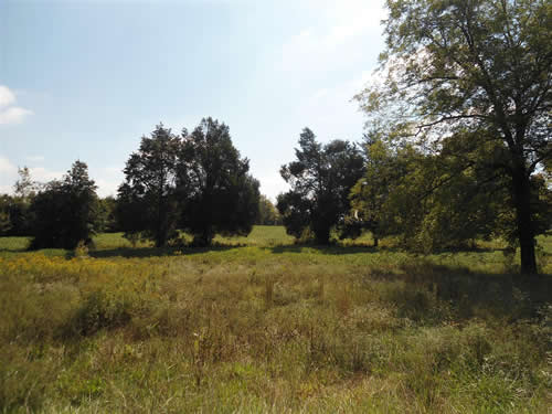 Burlington_rd